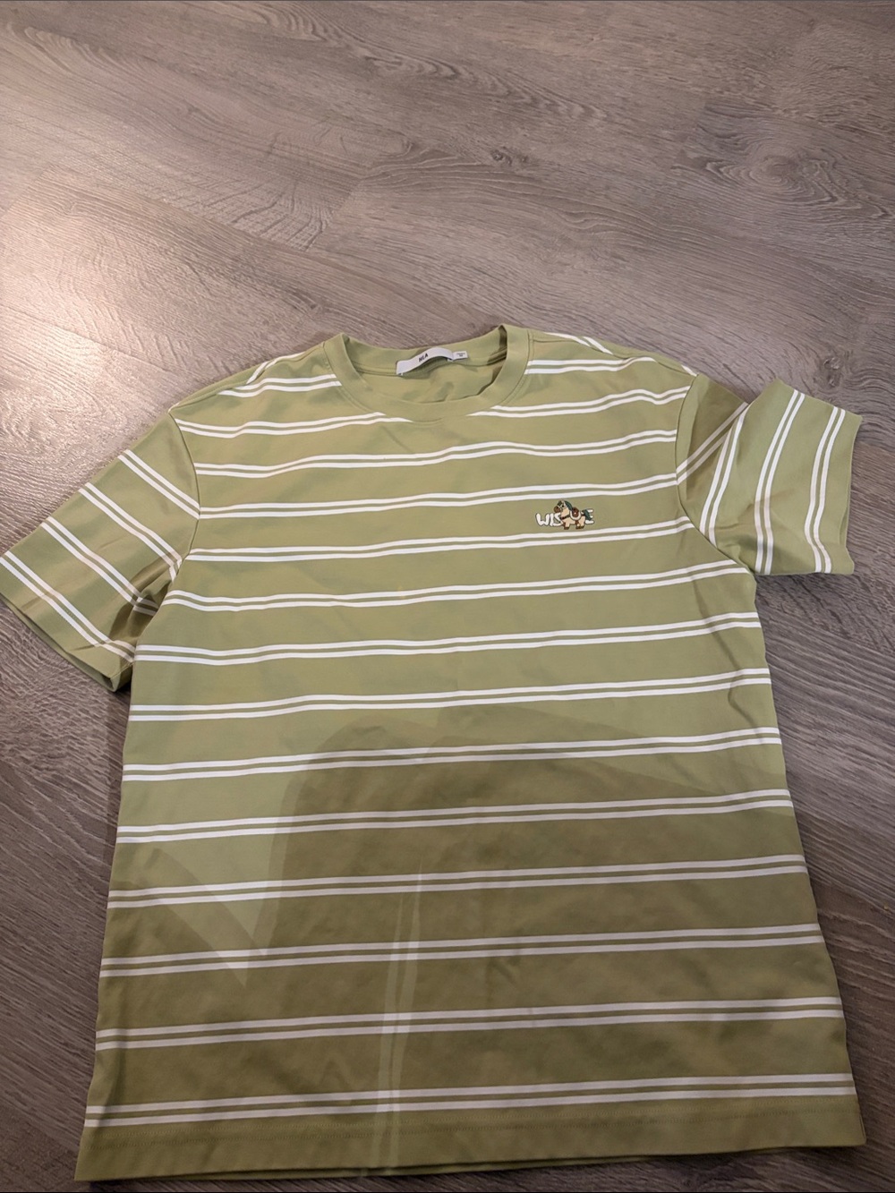 Cotton Striped Green Crew Neck T-Shirt - Men